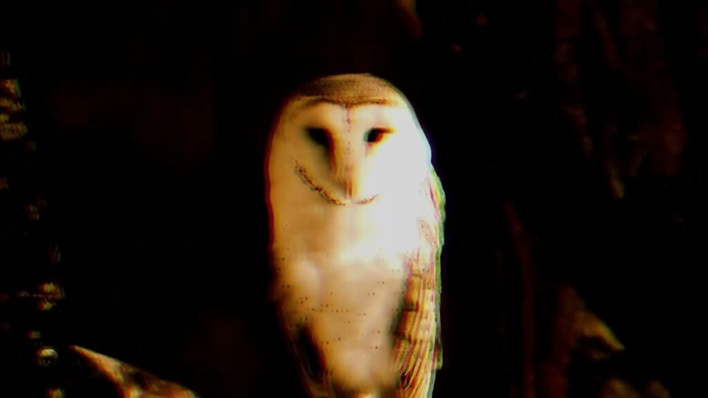 Sminos – The Owl