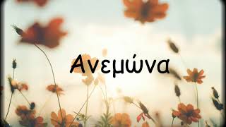 Ανεμώνα – Κ. Καρυστινός