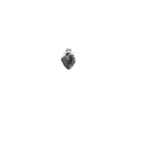 Αυτόπτες Μάρτυρες