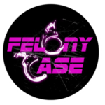 Felony Case