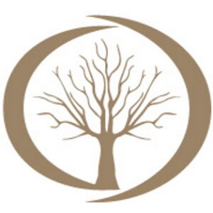 Echowood Luthiery