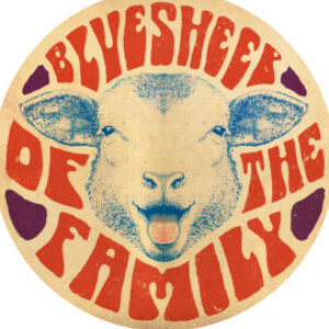 Blue Sheep of the Family Bassadouras