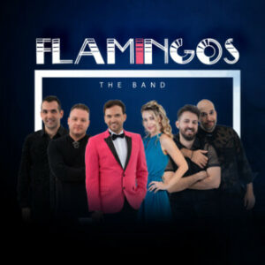 Flamingos The Band