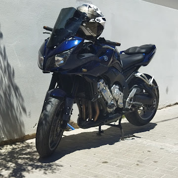 fortefz1